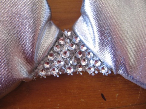 The embellishment on the bra gore. This stuff is amazing. Go buy it from Made Marion. 